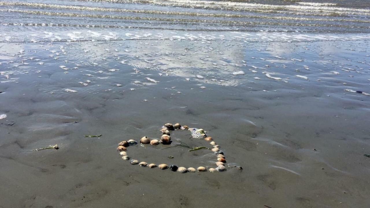 Appartement Strandhaus Kleine Perle